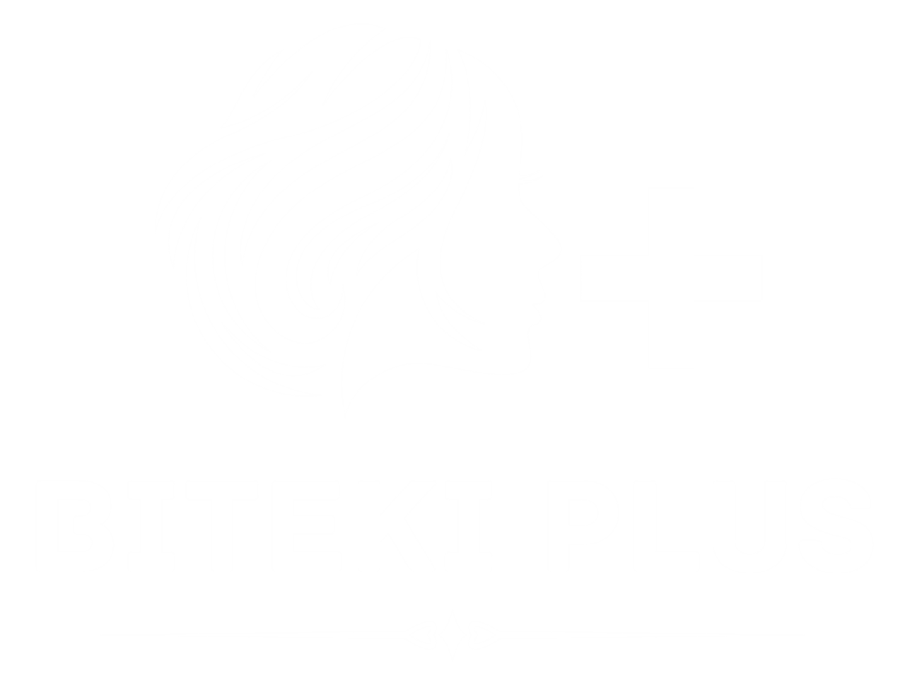 BITEKIPLUS